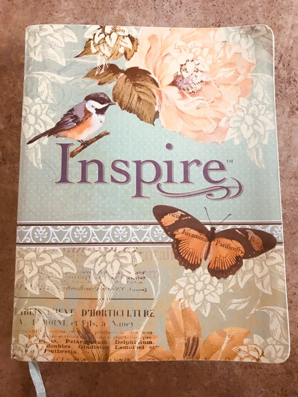 3BBC3343-443D-4C57-8A85-CAC207BC0781