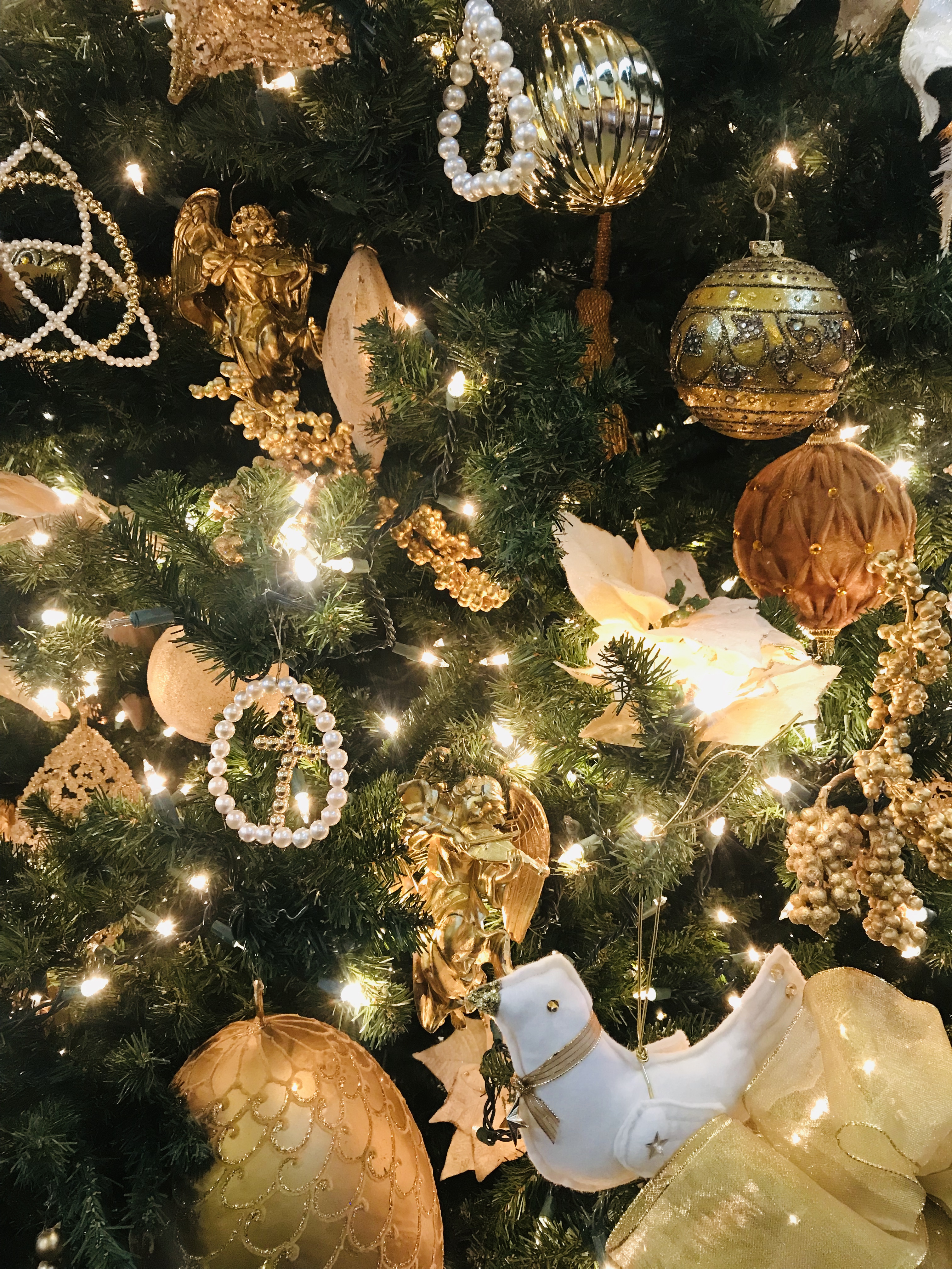 5E62E004-DA07-43E3-A238-3D692D5FF33D