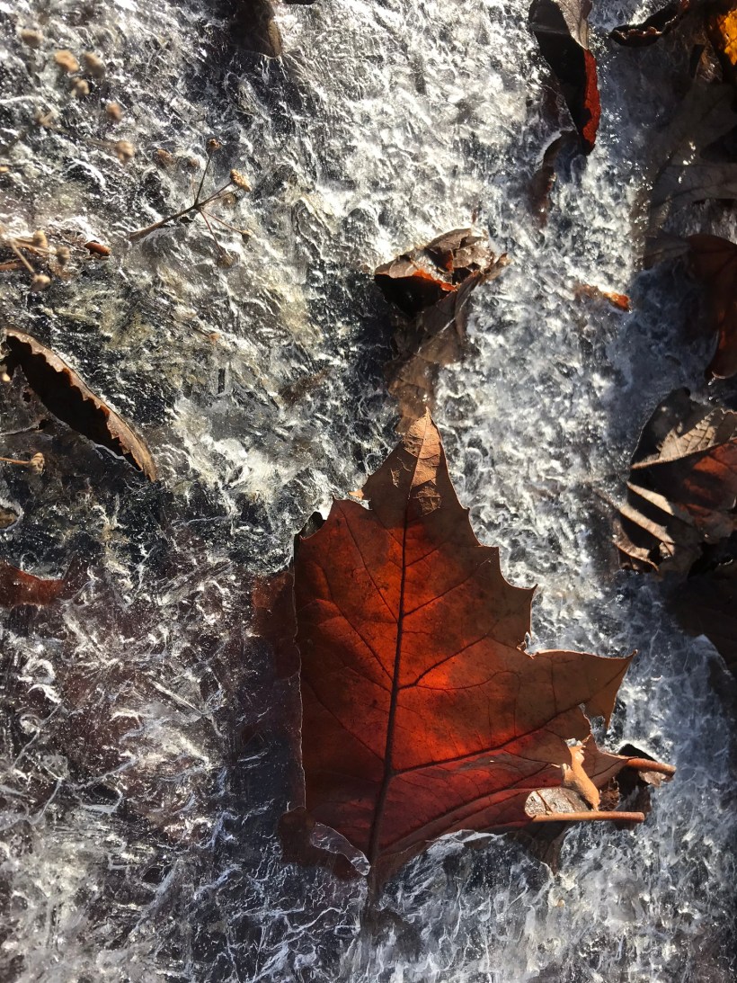 74175044-8939-48D6-9C18-4E923C740A44