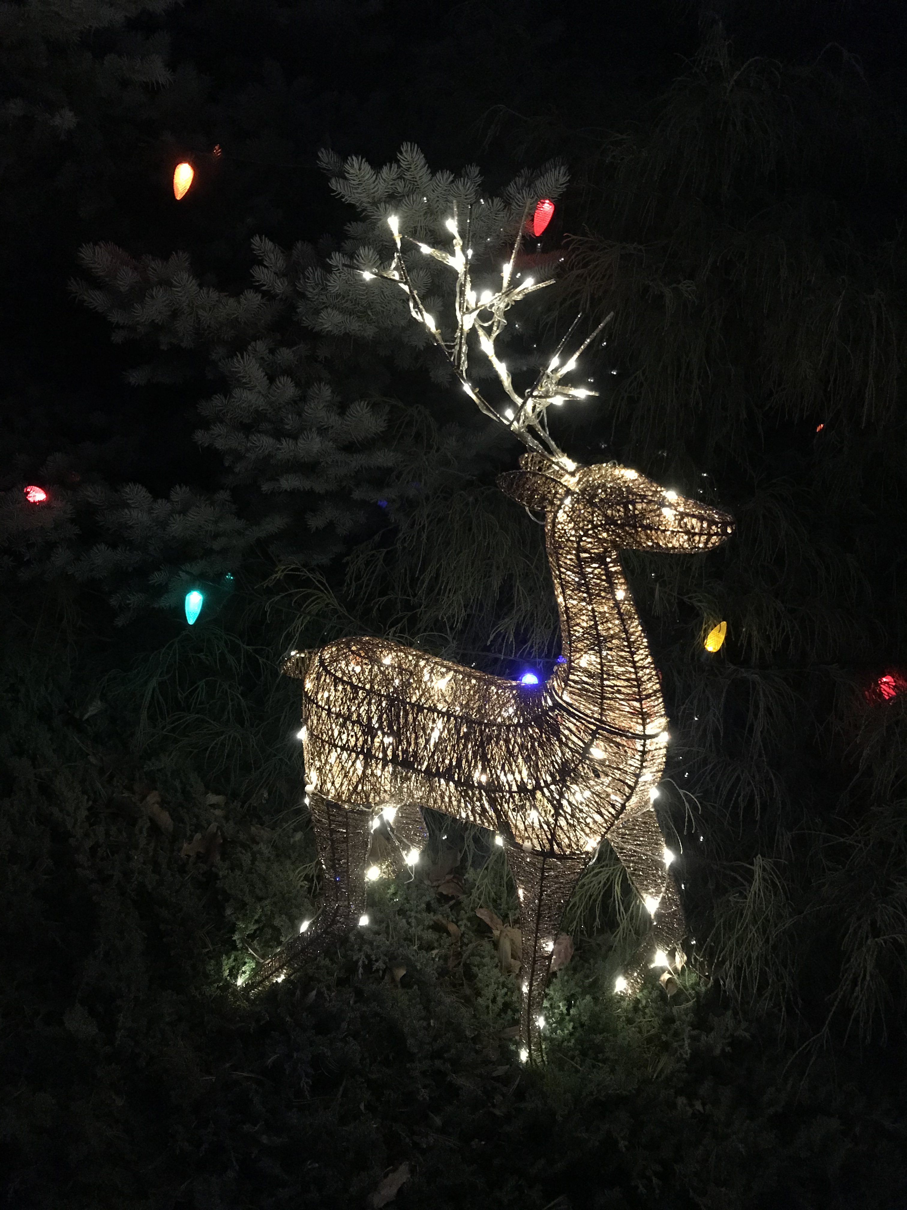 A438334E-F04E-4CB1-8FCF-F22A33A331C8