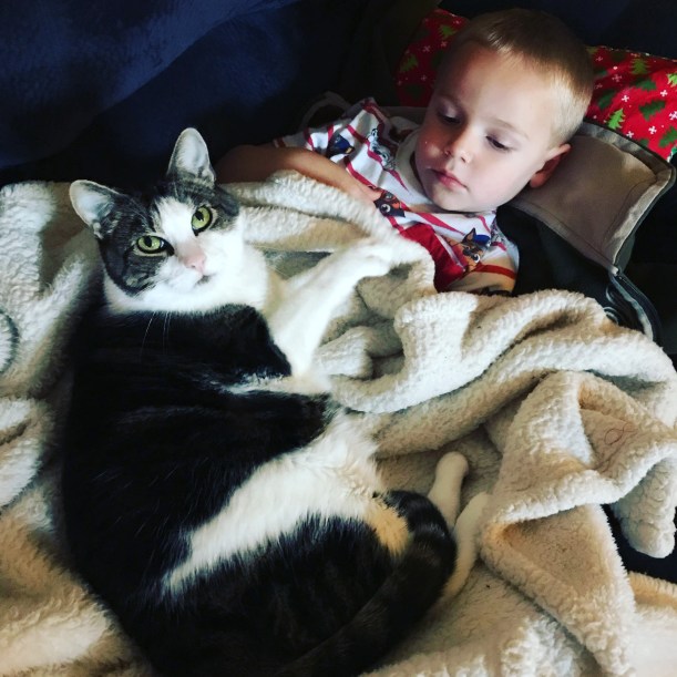 CA9EEF1A-5564-42E2-AFAF-A738F7981810