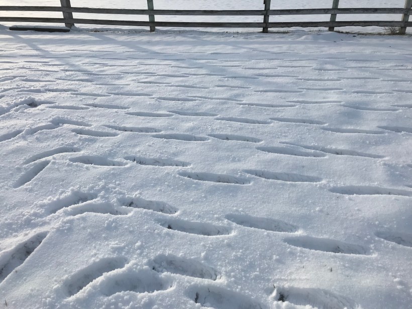 193e85f7-bfb8-44f0-ba5d-c858163362dc