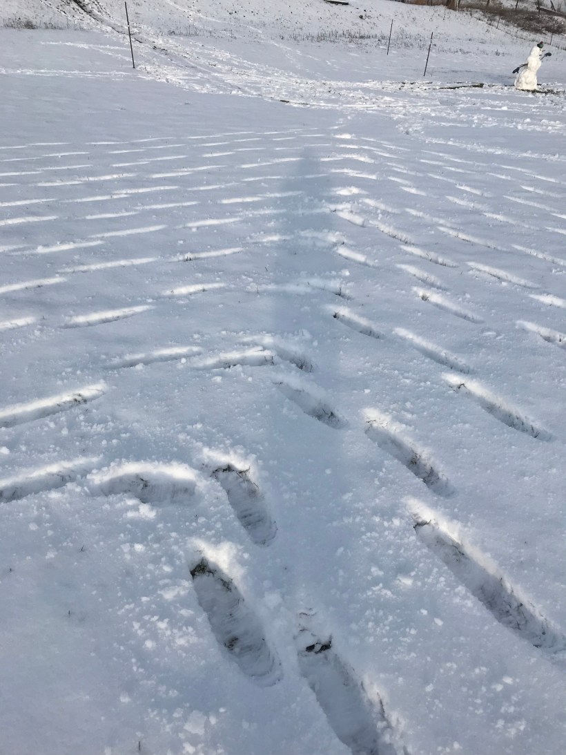 1fccb24b-0bf4-47aa-9a68-c3293407bd6c