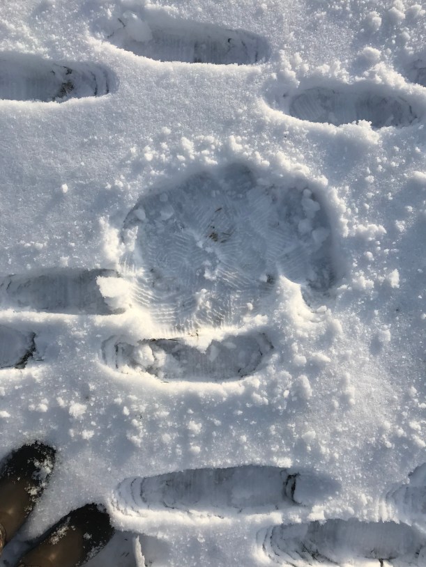 463fc11c-363a-4f72-97ca-8a7070cb8971