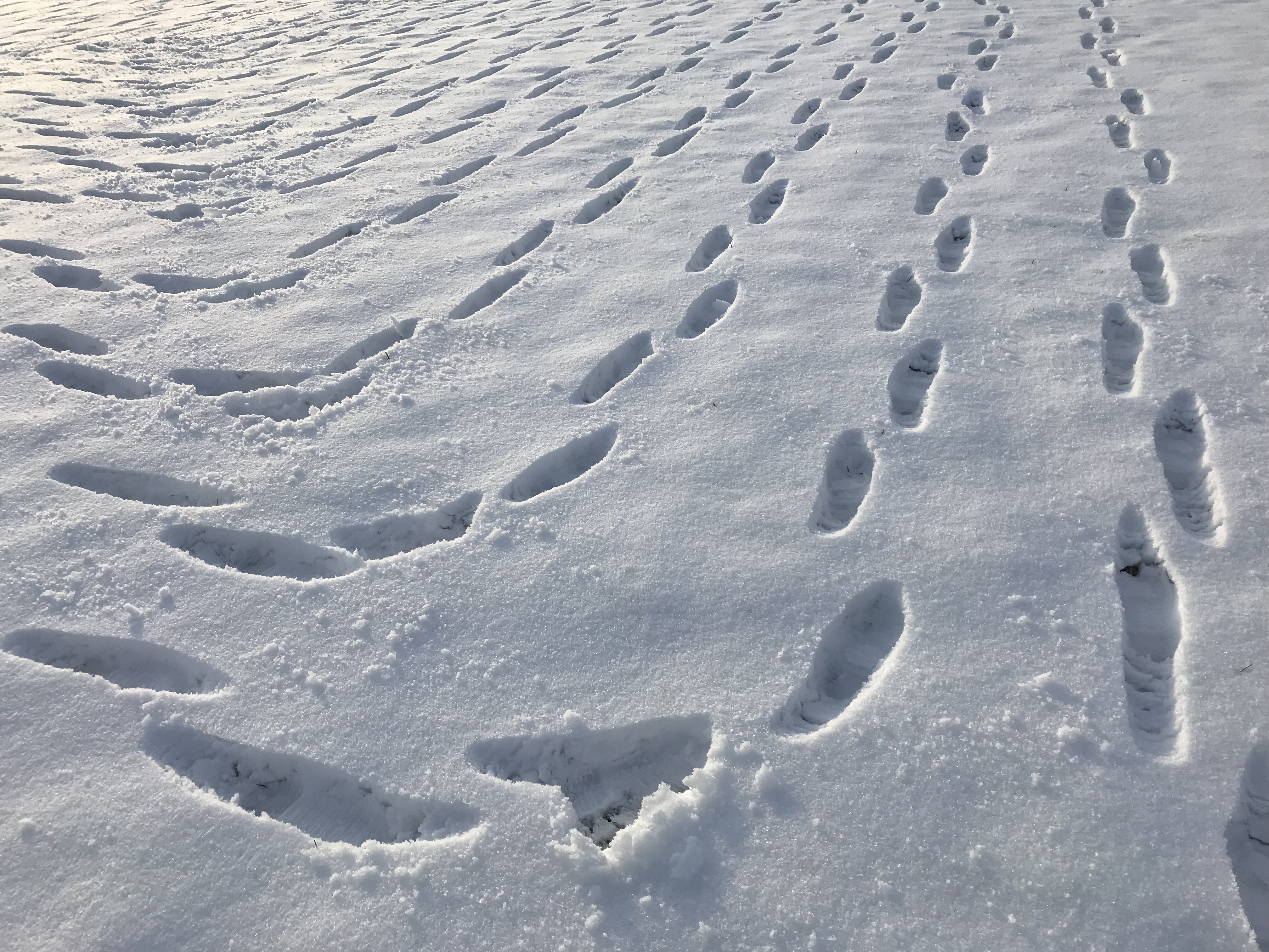 4854c584-9efd-4ae1-a341-161d350f1580