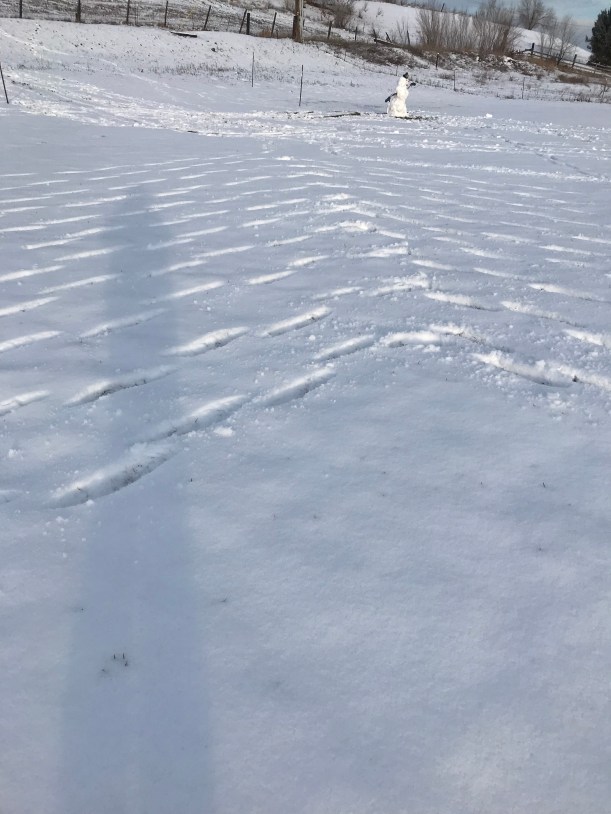 5379ec1f-caca-4466-b726-2b1232553a0b