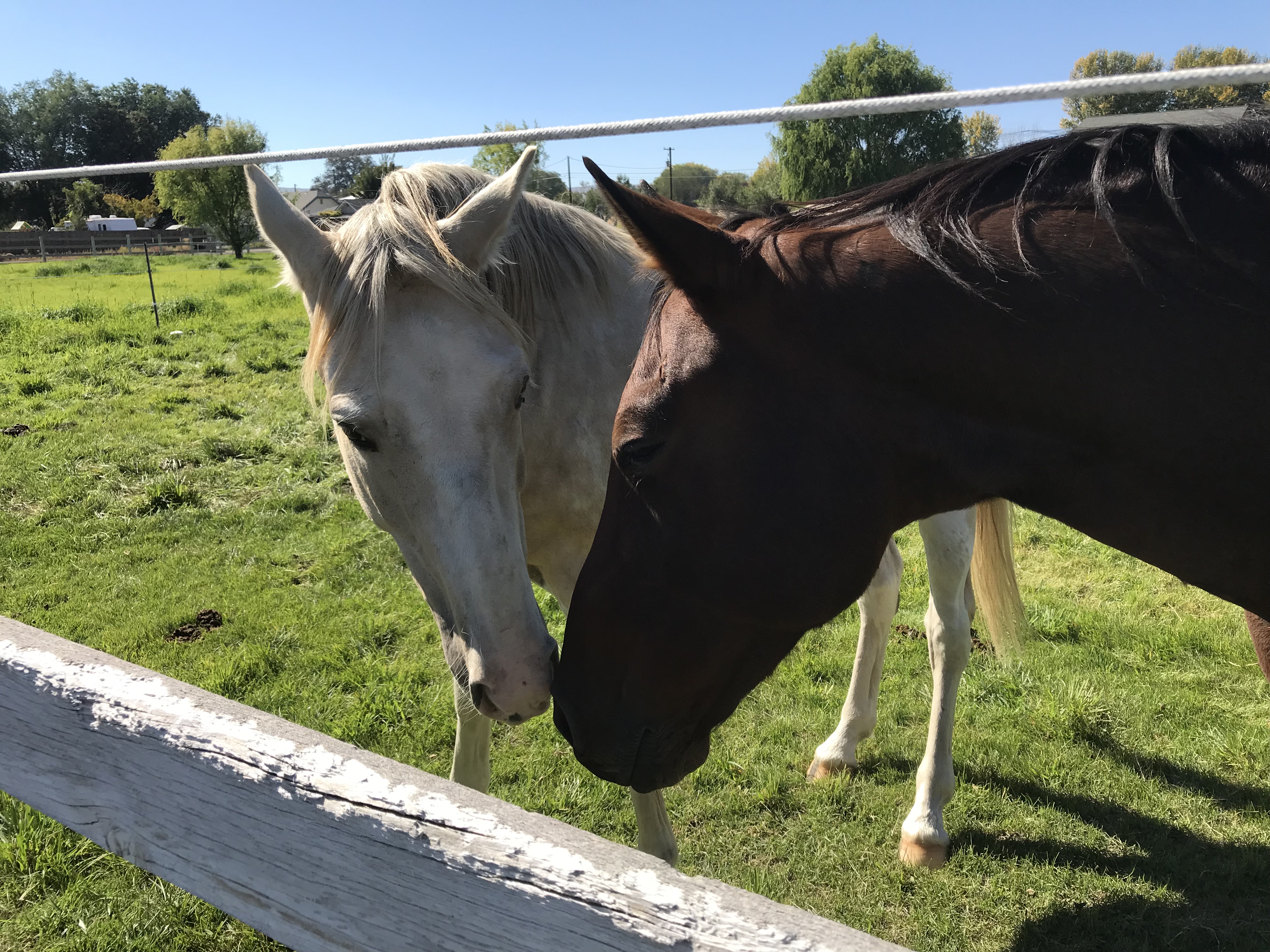 55abe988-2f15-4010-a74e-abbdb3b1bab7