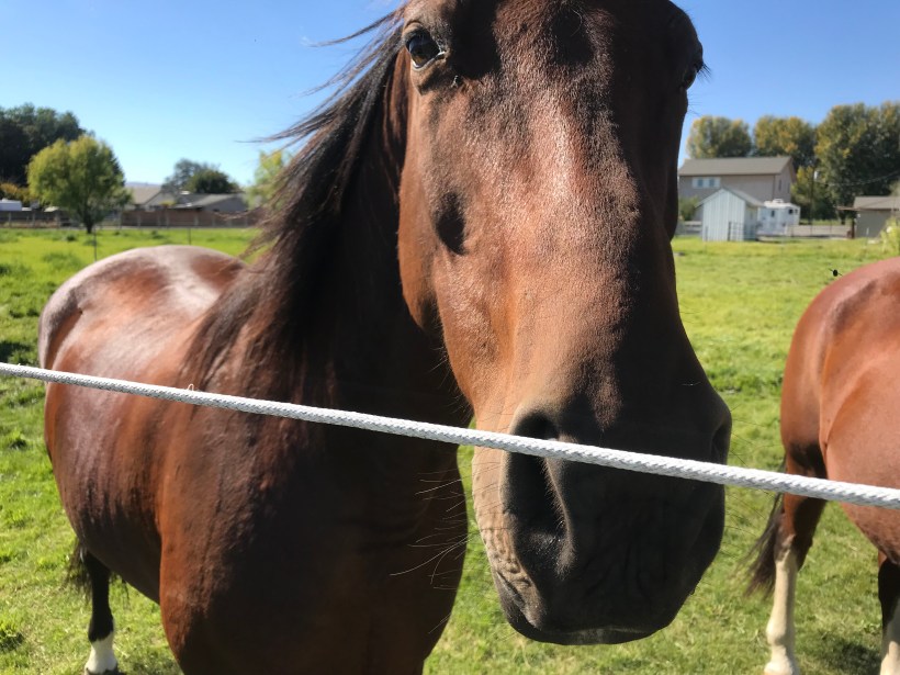 594be080-ee8f-4747-83c5-a5ce8335164c