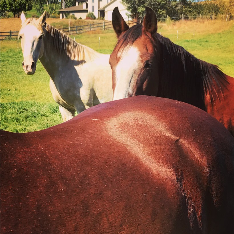 851ae7a3-9847-4f7f-b02d-1336b28e4825