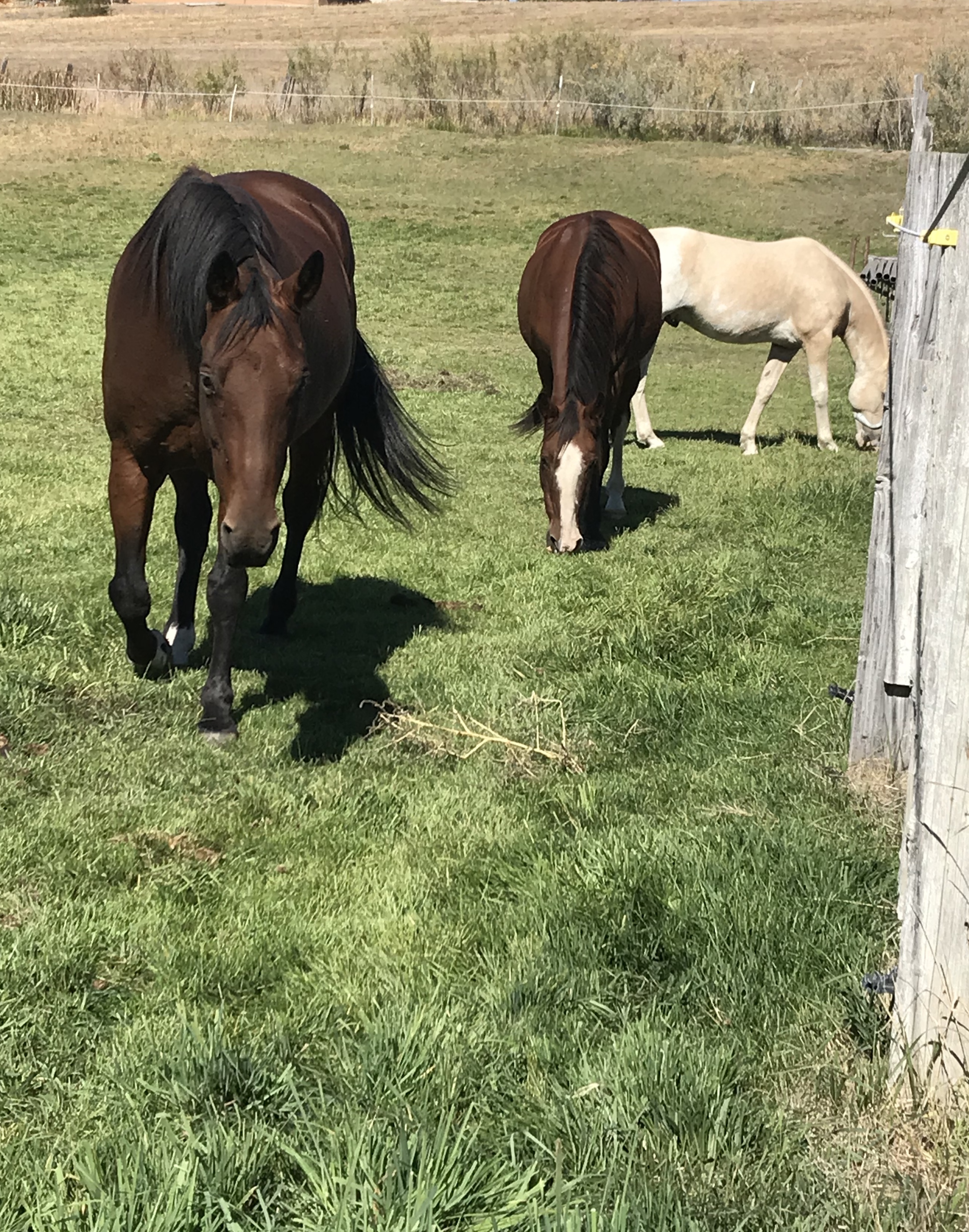 928eec39-24c6-4769-98ae-5438839c0c2a