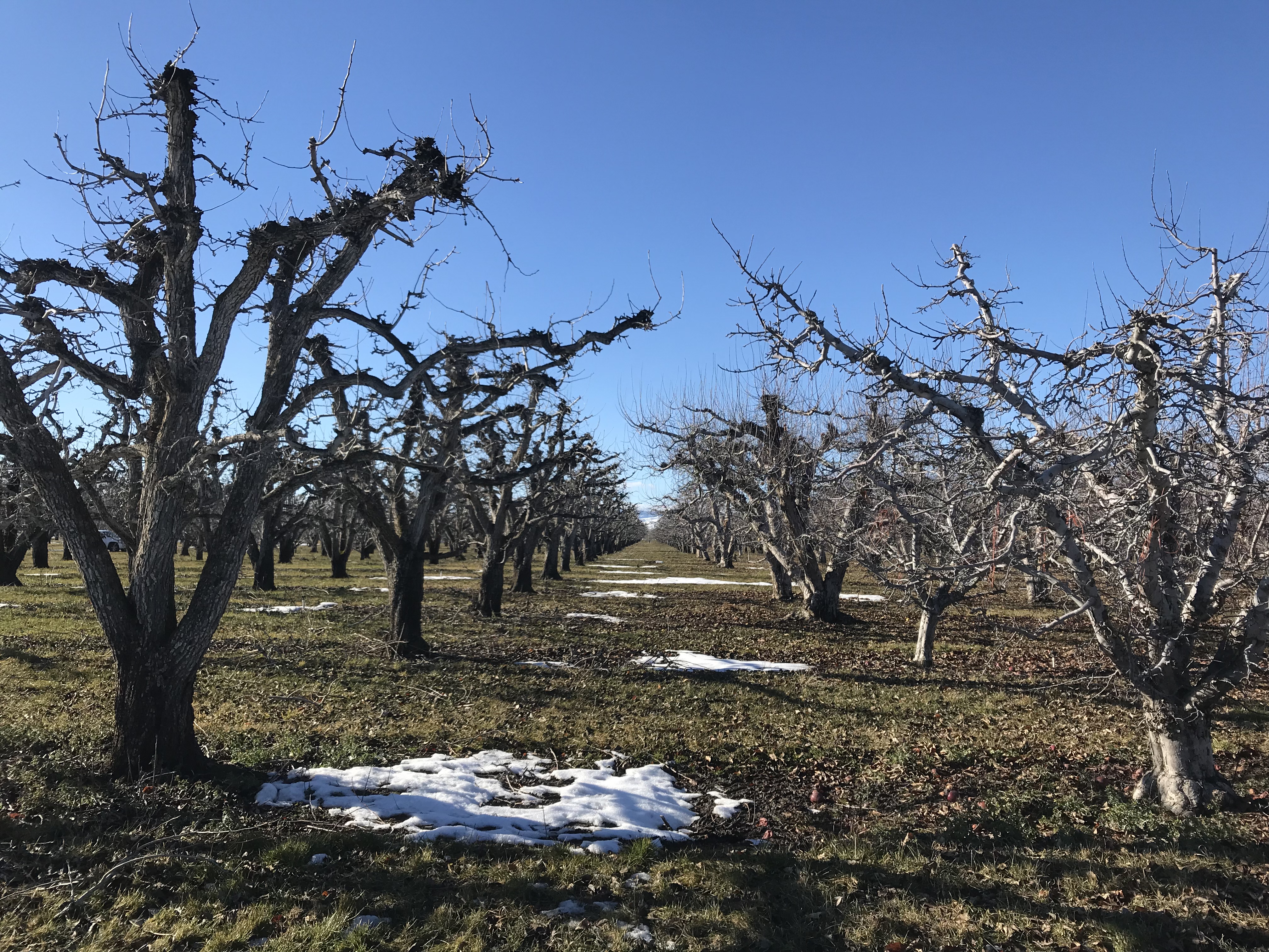 bf7e3382-d700-4061-87fa-561ac18e983b