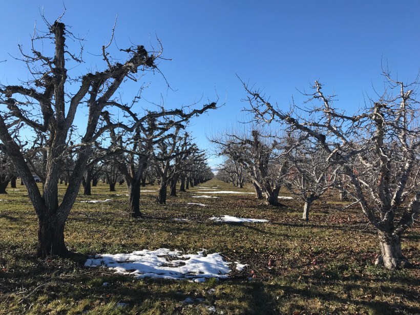 bf7e3382-d700-4061-87fa-561ac18e983b