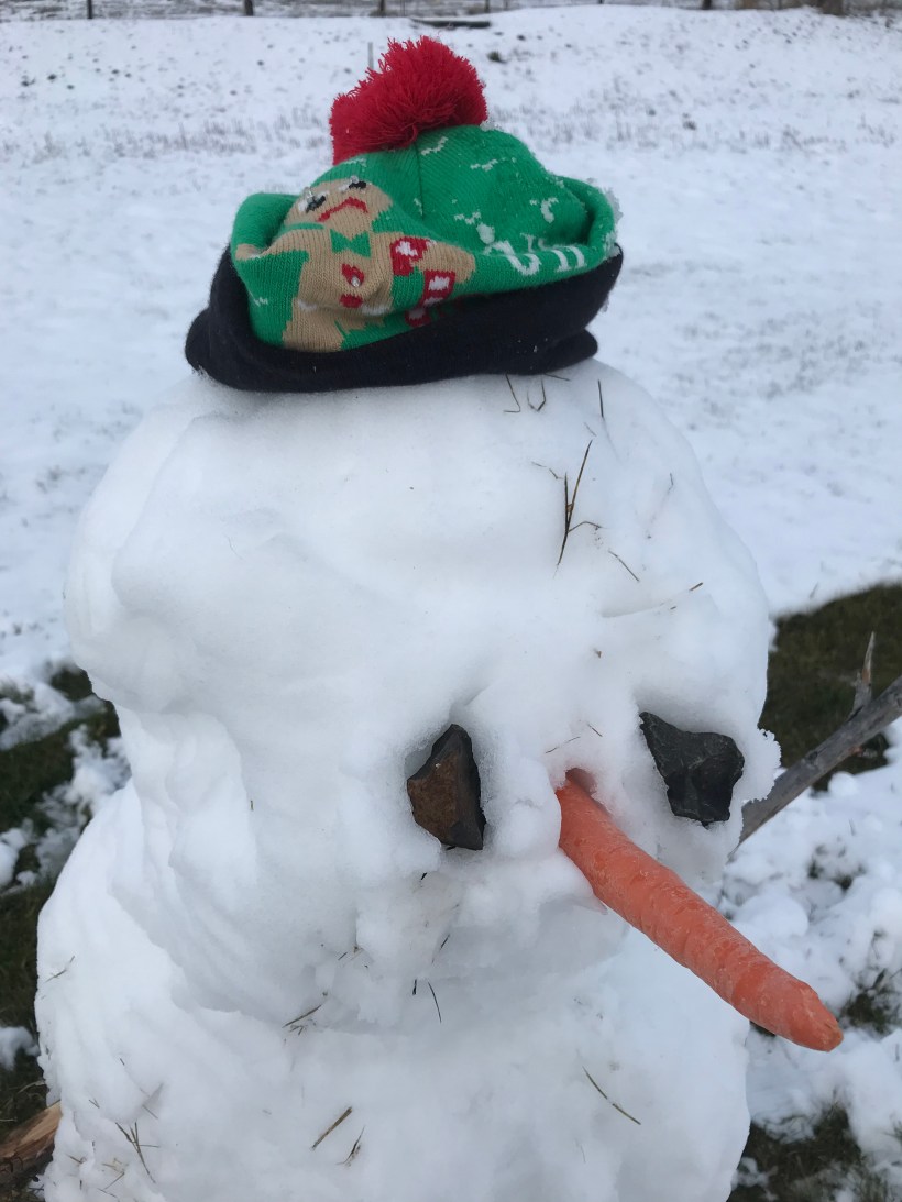 ca548691-3696-44eb-ab93-9071d4c2aa47