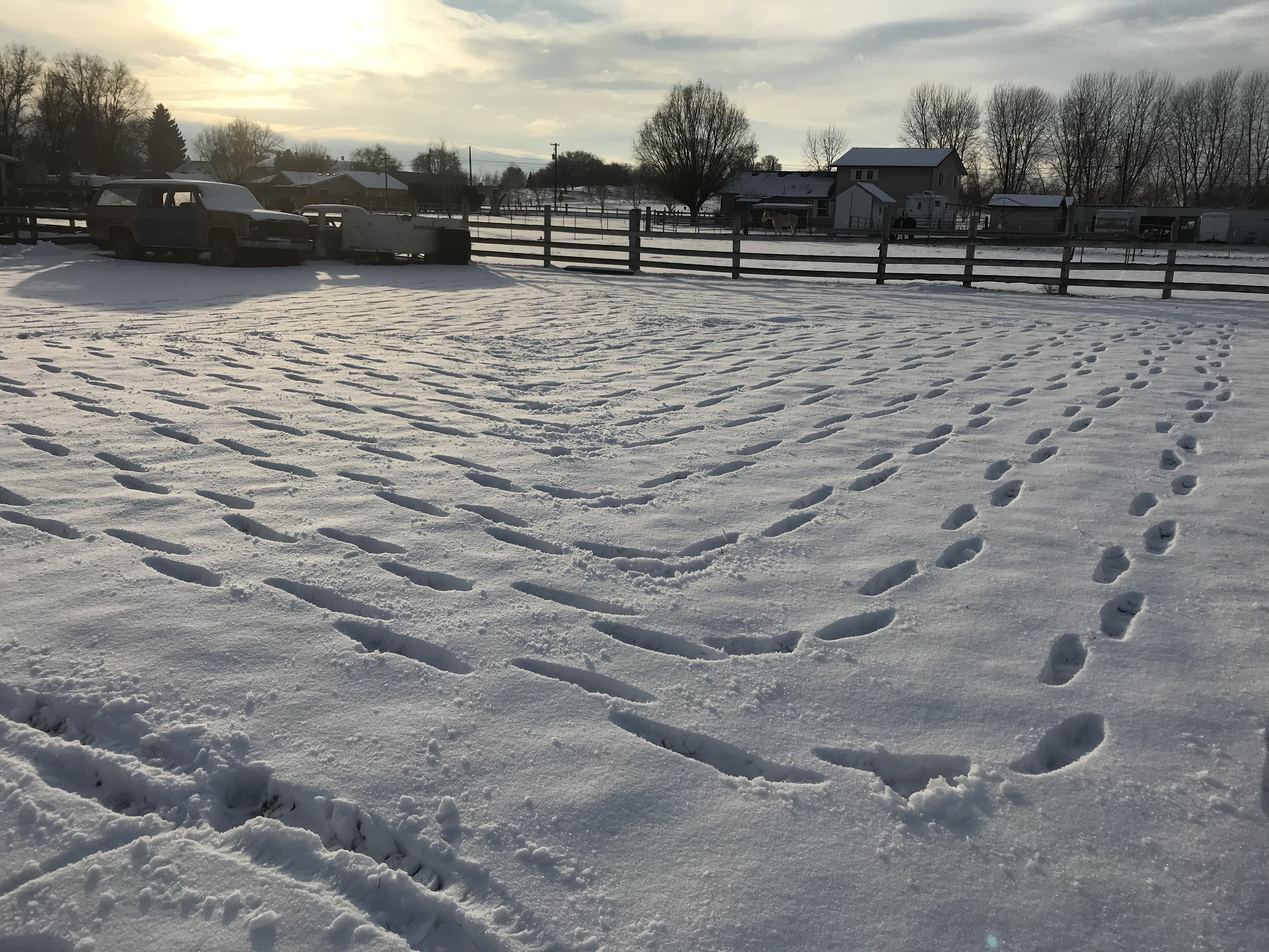 ec4a9556-3038-4f97-802d-7b83702bf714