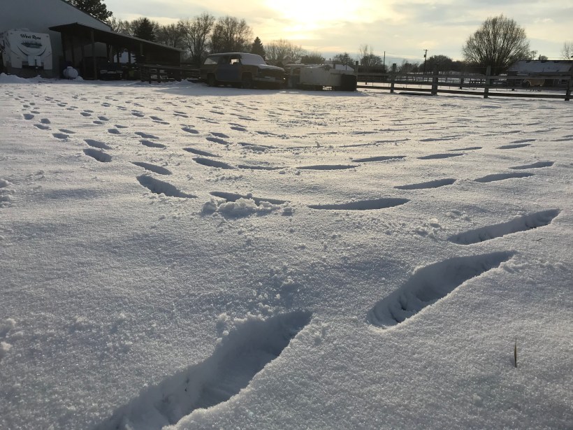 ffe8820e-3de7-4991-b88e-26ffa256e929