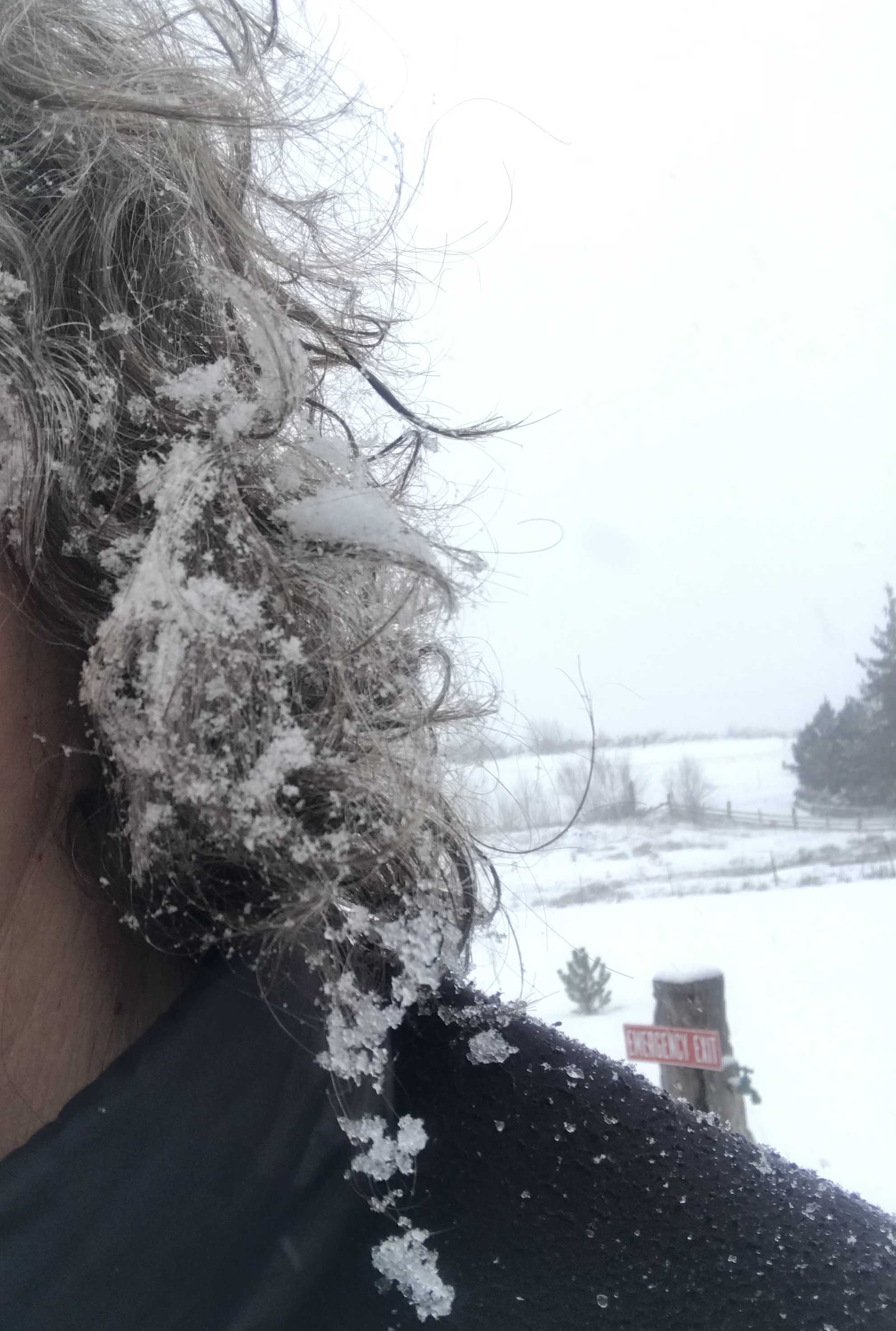 1AFFCEF4-5EA4-43E9-A0CF-A76F0A800B69