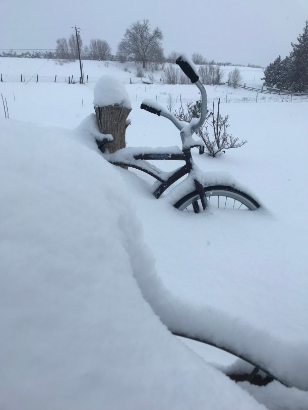 20F57D8B-9C61-4F8B-AC37-192107787C94