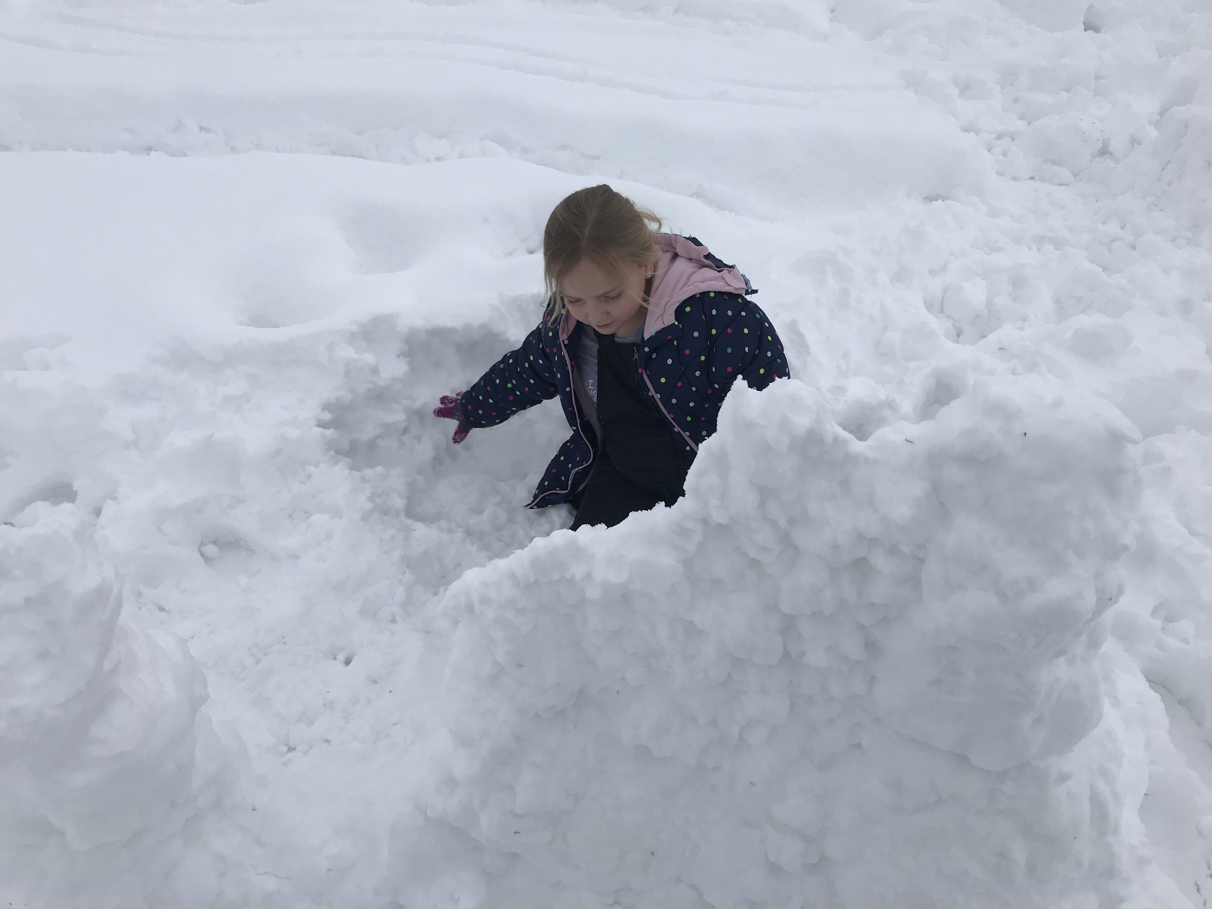 6BB9D306-F69E-48F4-A19D-FB7551D2BE3E