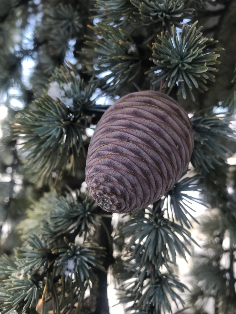 BABC7C7C-10D3-4976-9054-9F300A6A681F