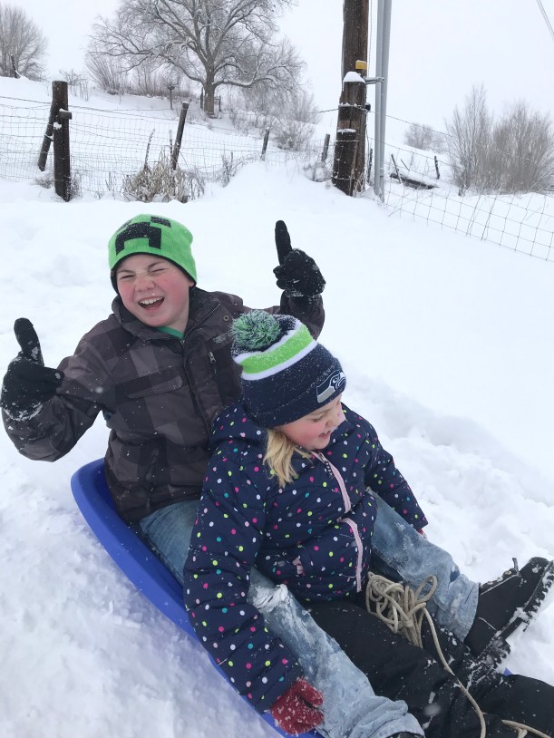 D5E8D83F-7DAE-4DA8-95AB-77897D9BC77E