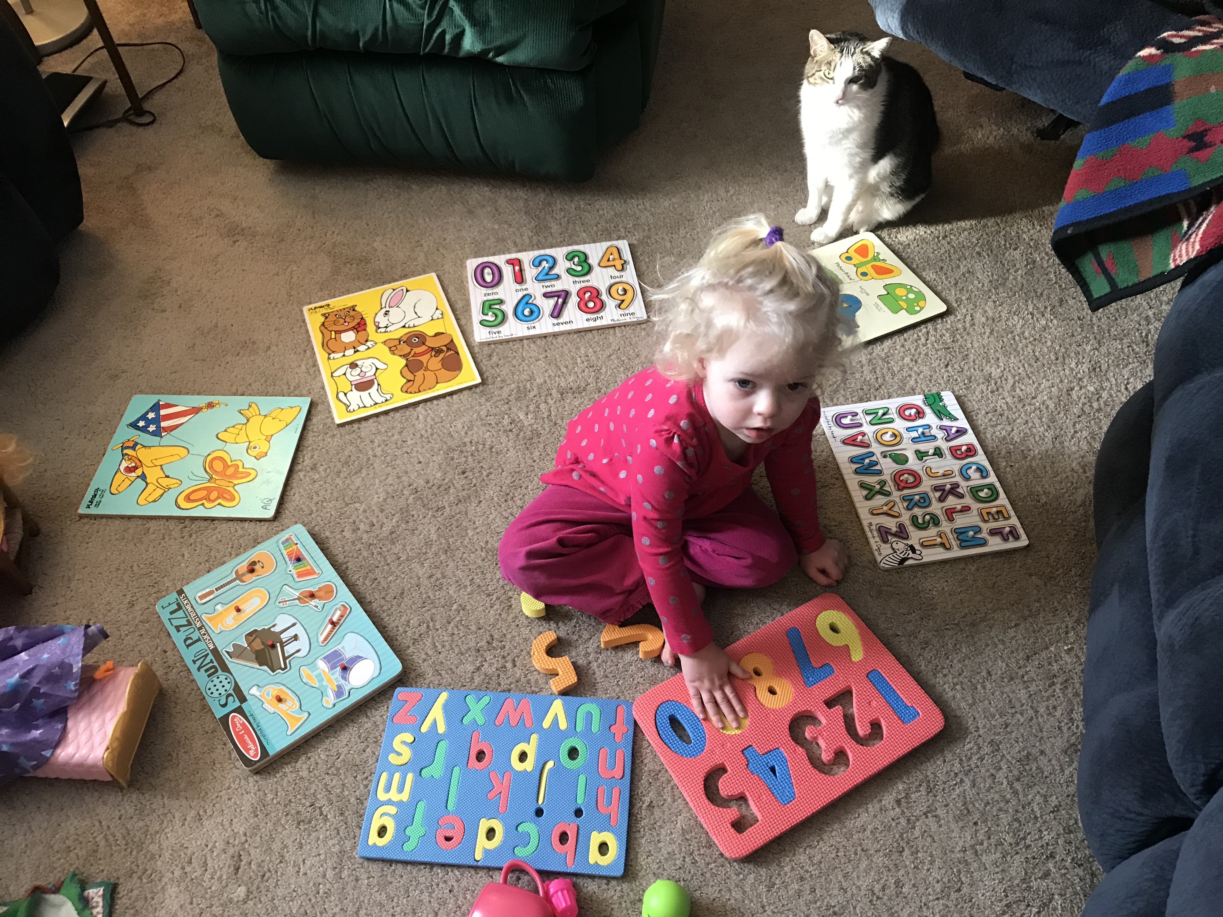 D64DCDF2-EEC8-4B42-BDA8-16EFBEA0D0EF