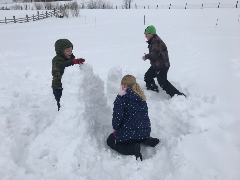 E161ED9C-B178-4643-A81F-44A148629712