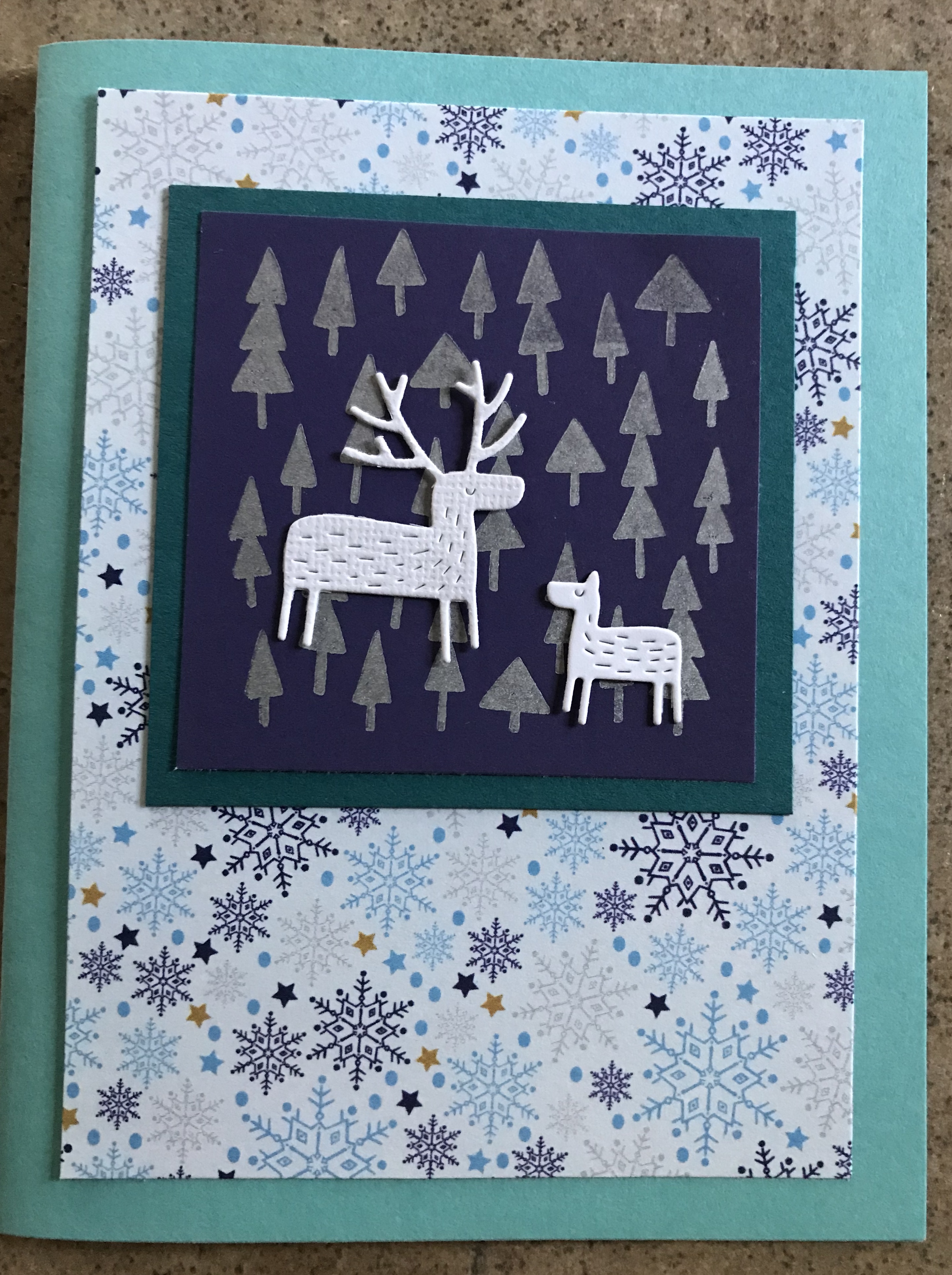 E5119E30-D482-4426-B0A6-16546D68F018