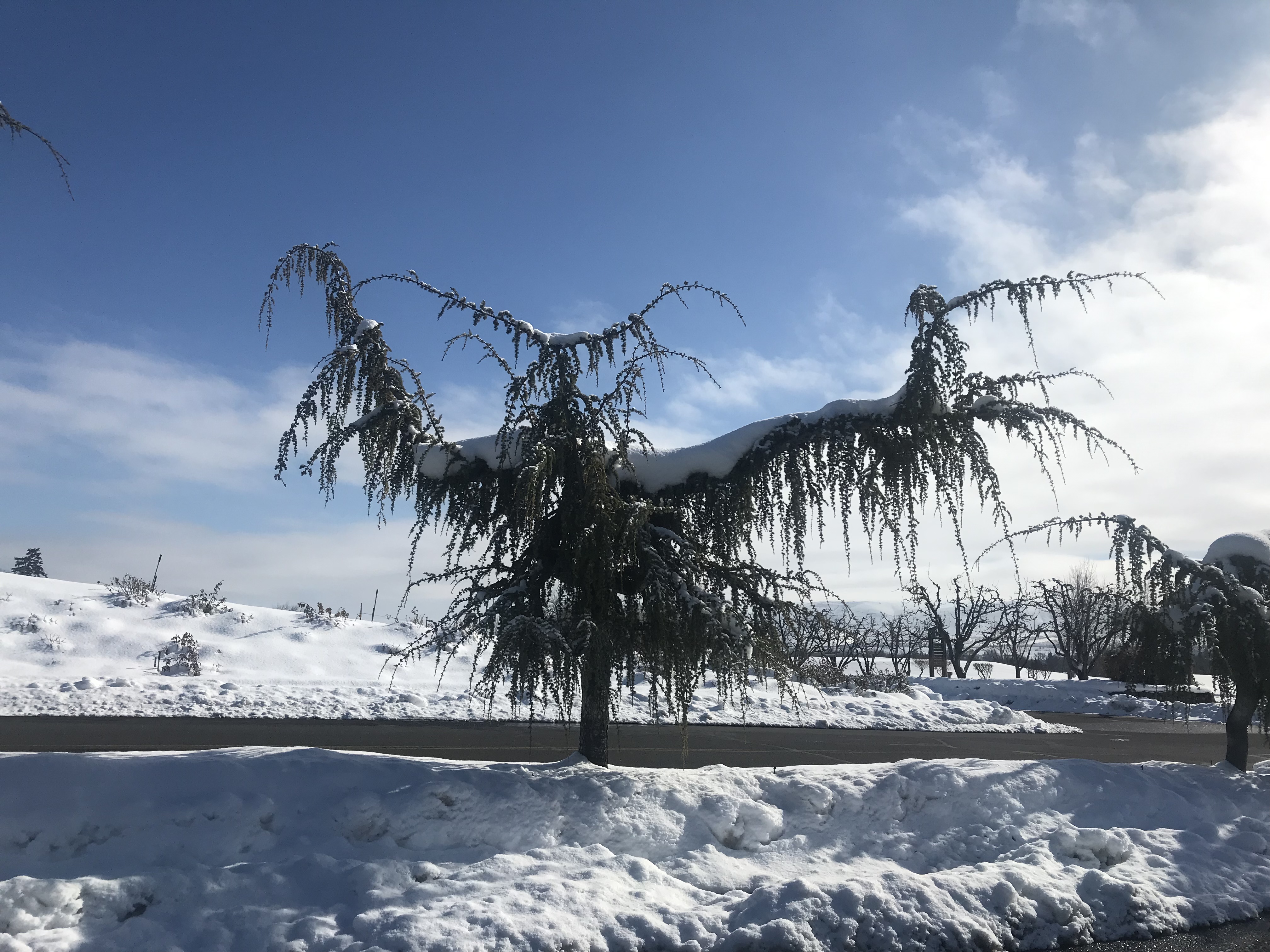 F4441CEF-A141-43F2-893B-1FD39E4456E5