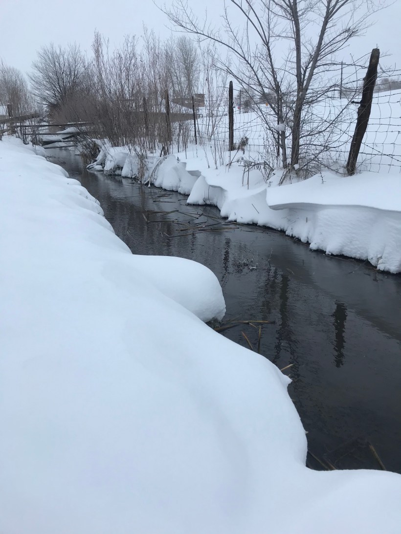 F52CB4B7-69D3-45DA-9489-8C2456F72545