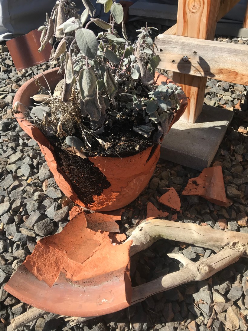 10E39A99-CDFF-4F15-BF75-A5185B714497