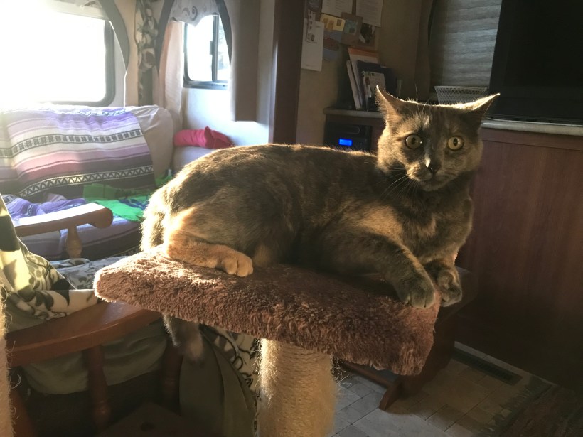 53881DD9-F168-432D-80B0-8104E24BFEE9