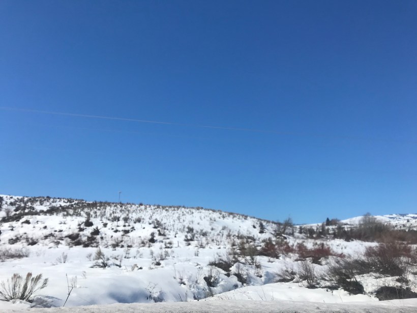 5BD635FD-EB10-4F84-990B-5BB8E5FA4B83