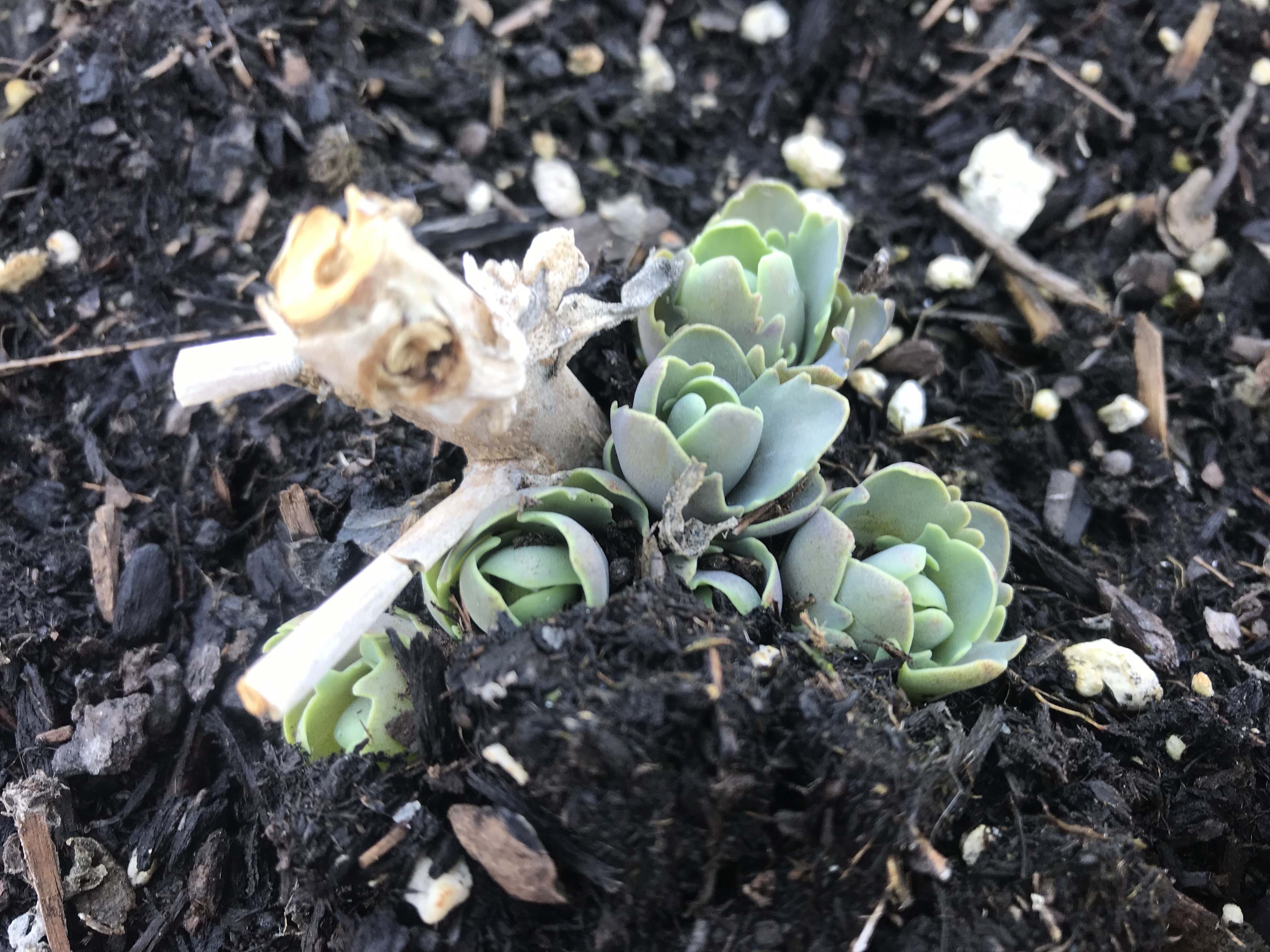 78D6DF13-1D6B-477D-B554-56AAA72F18A2