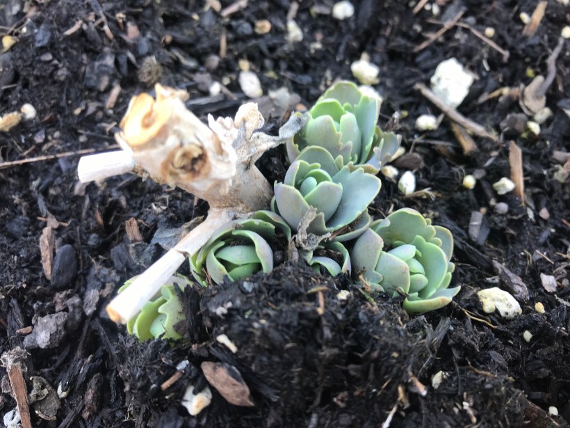 78D6DF13-1D6B-477D-B554-56AAA72F18A2