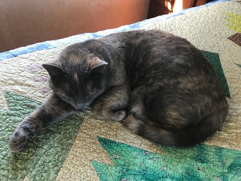 827EEB89-2542-424A-93E6-EF43BF56C999