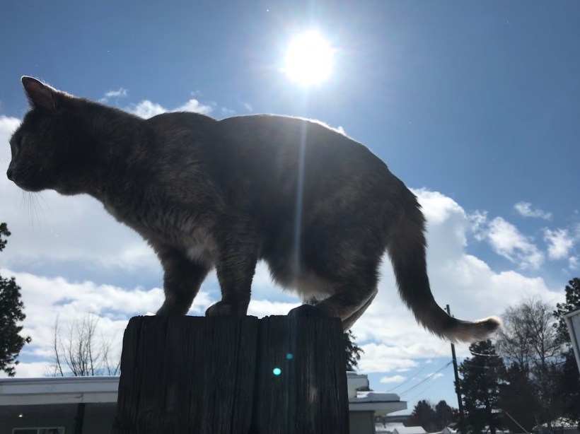 9255215A-26A6-4CAA-9069-A22D98CE5723