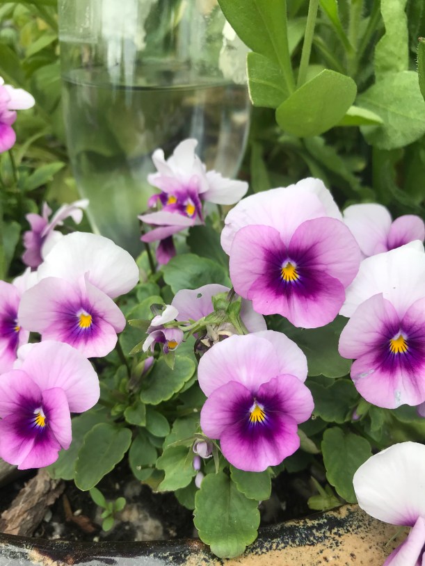 A3016977-654F-49A8-A93F-0300A1BEFBC1