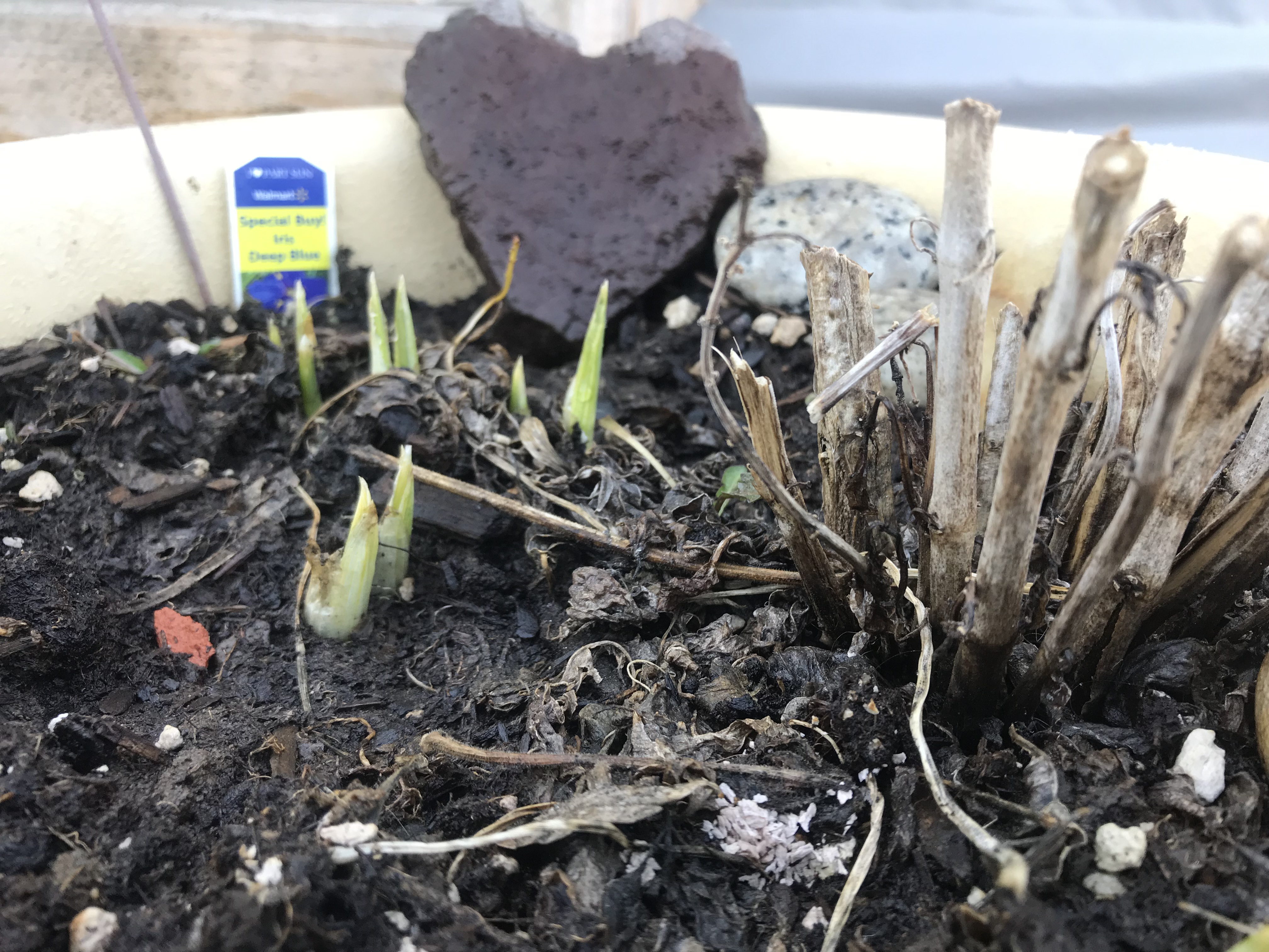 BB4C8B43-37EF-4375-AB2D-C4982FF98596