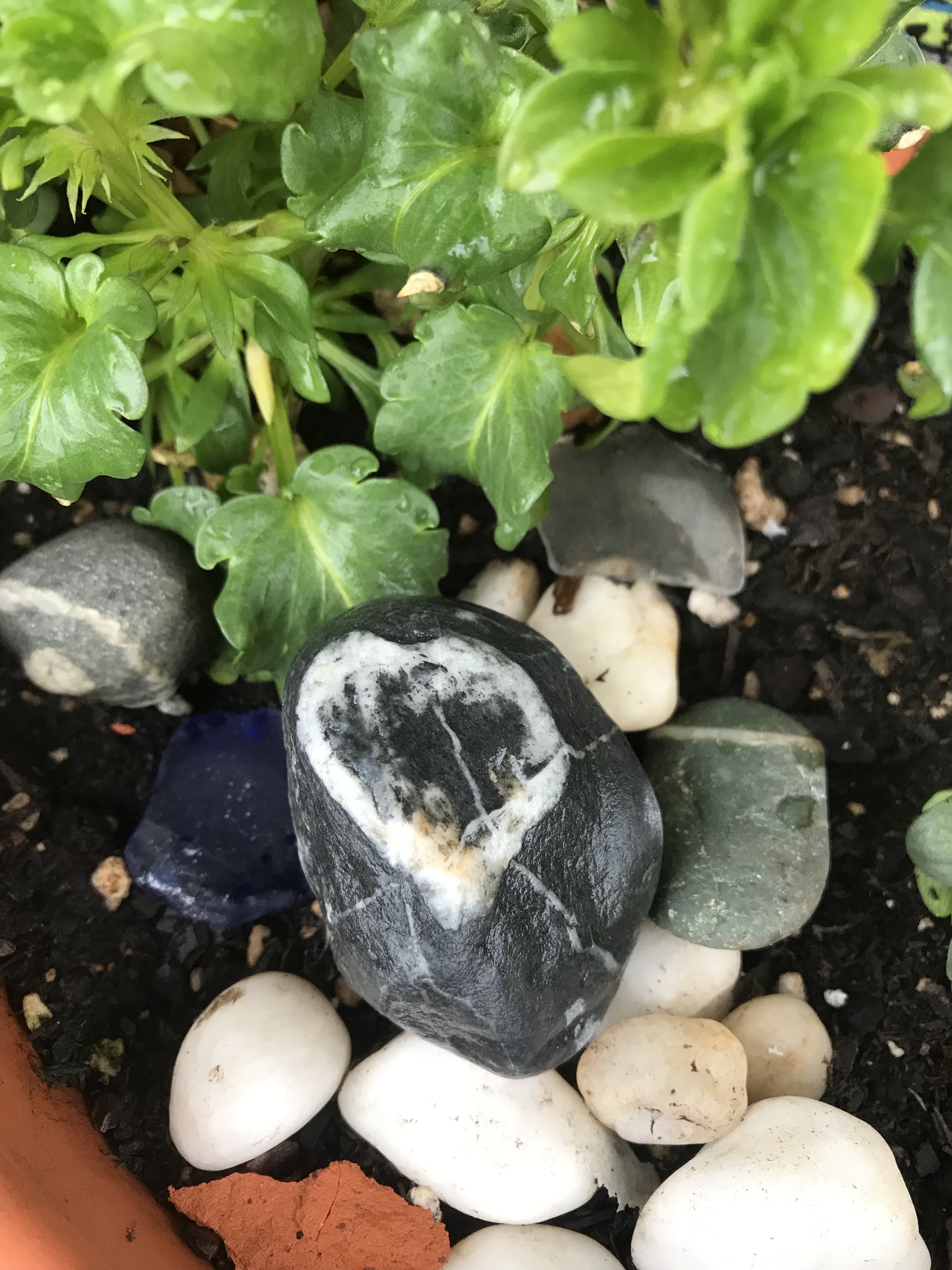 FEB51631-322D-4E2B-A18D-ED63694B60BB