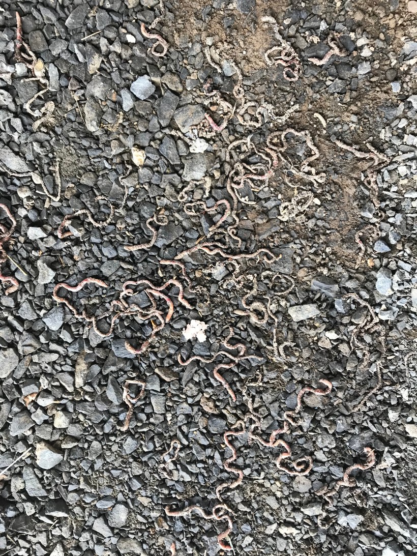 35FFFE22-2FBA-47FC-91E6-B19CC978FA44