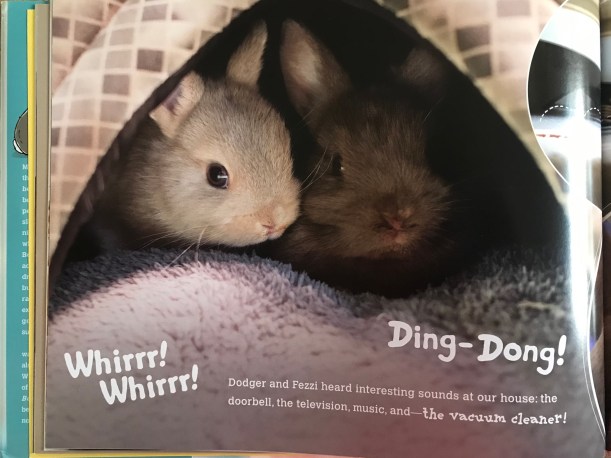 463F7B58-353B-49F7-A814-8B5ED5F2EB39