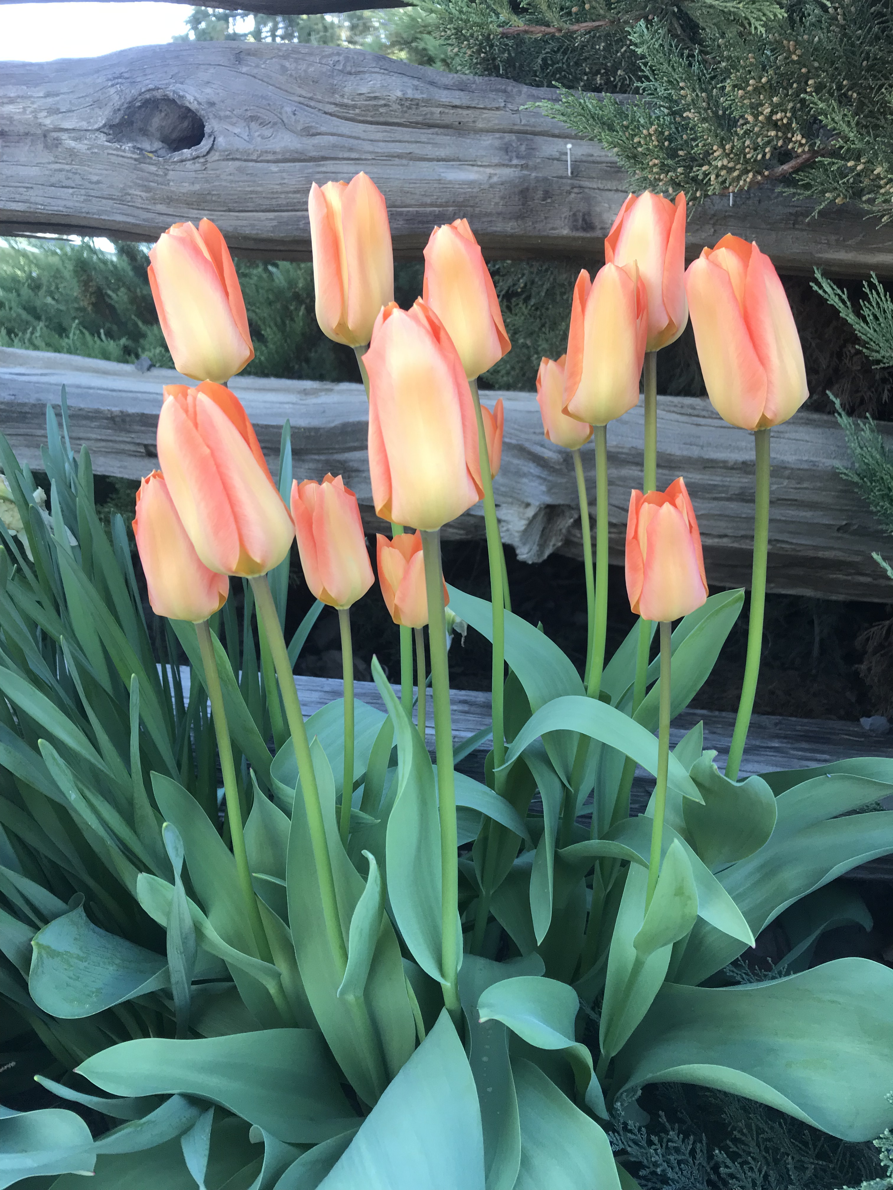 88EE86E7-23D3-4FF9-A4F3-D834C8CB0E36