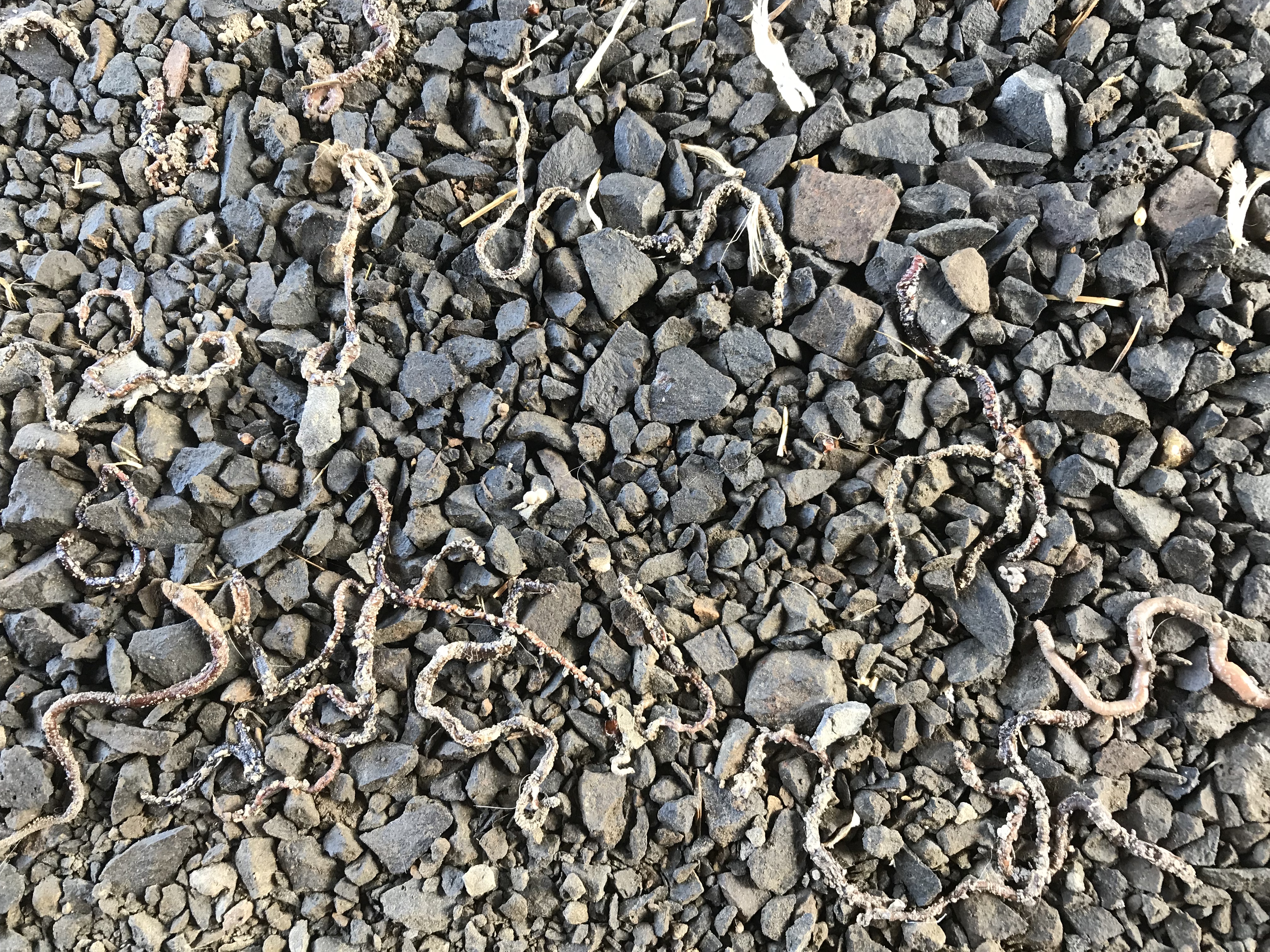 8ECB83B4-D596-4A2B-8F12-3DC41A35ADAE