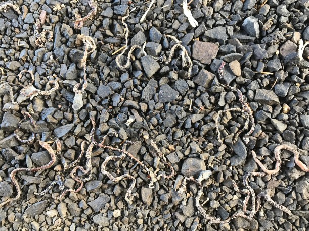 8ECB83B4-D596-4A2B-8F12-3DC41A35ADAE