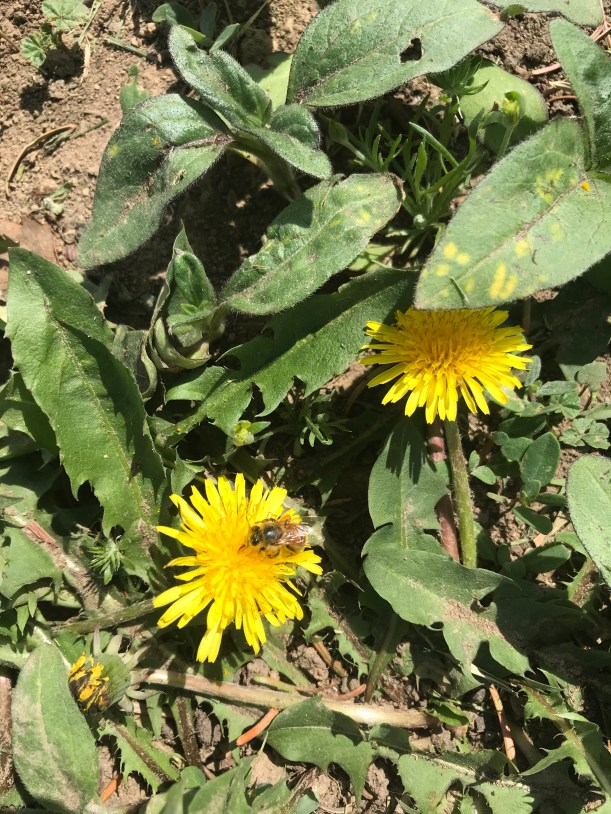 B42BFF4F-E00F-472D-A2FD-476A74F54388