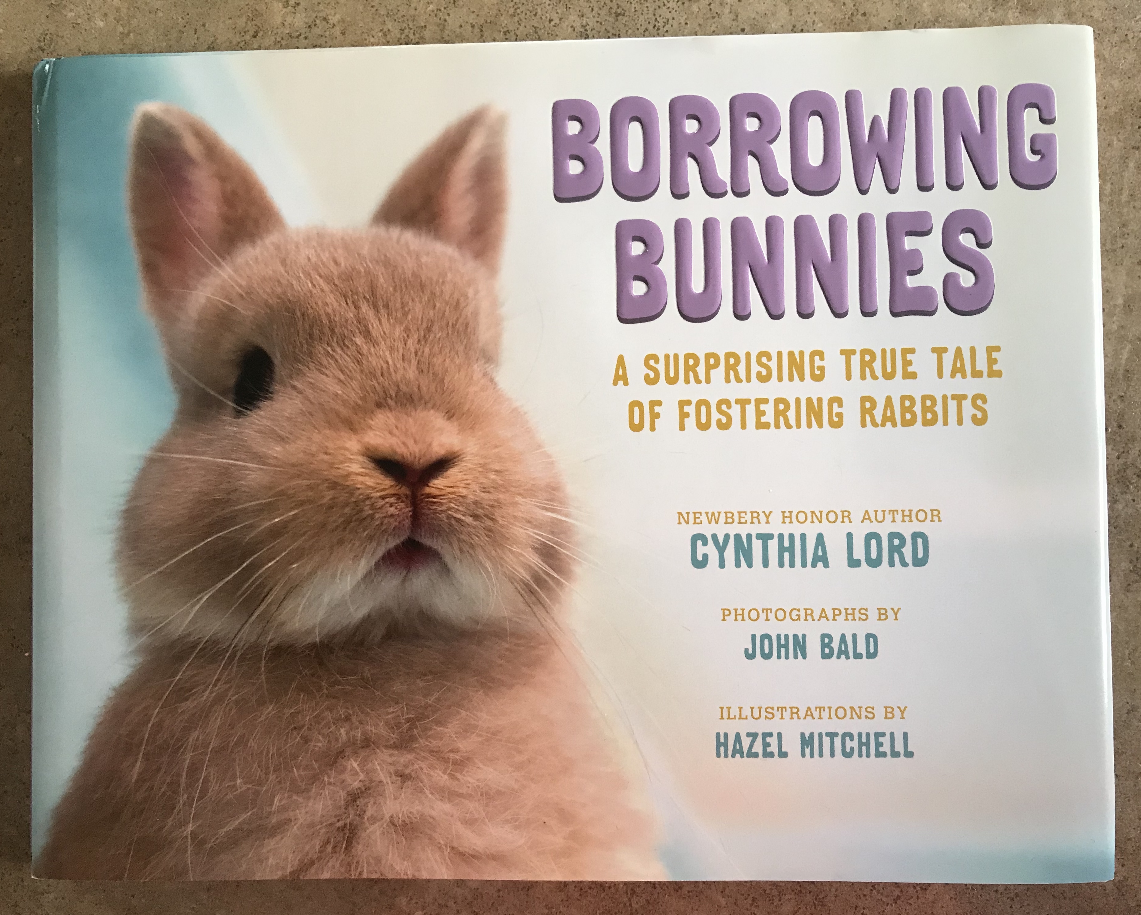 B773831B-3AA1-4472-9F89-5DEF8D47385A