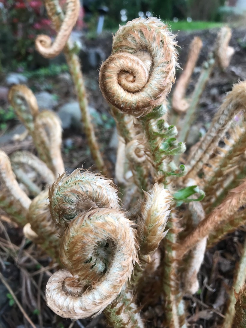 B9AC3087-BE56-4DF6-A1D6-C2D7EE8E7B48