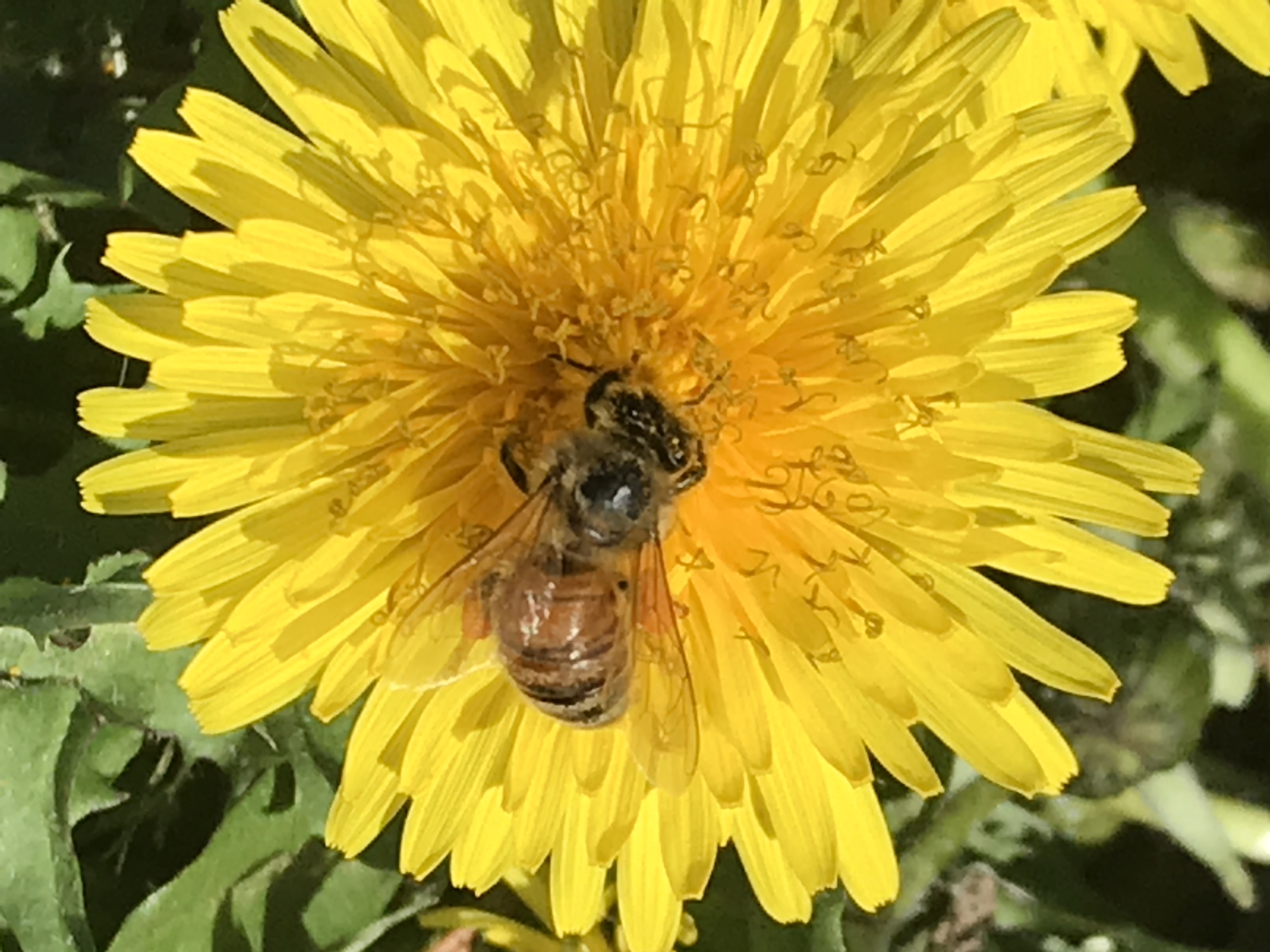 BFDA994D-C1FC-4BF9-B734-121E11BE310A