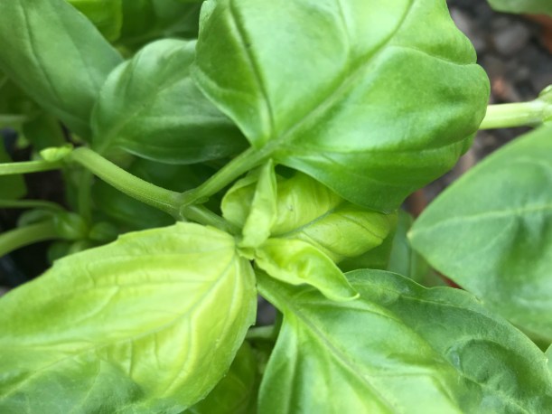 D763EC90-362A-42E9-9219-CA2C997121D2