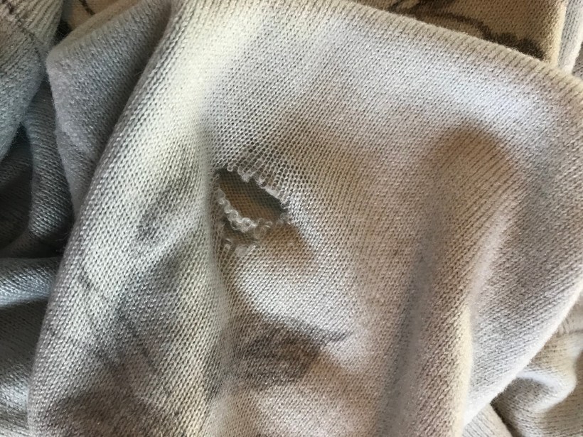 DC9BEFB2-7D2A-416D-8379-5C59F2E5F5C2